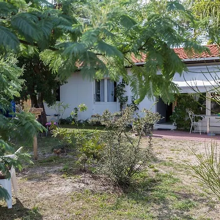 Guest house Tribord Lacanau