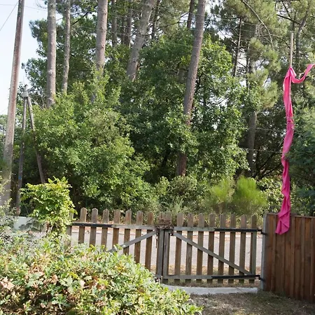 Tribord Guest house 2*